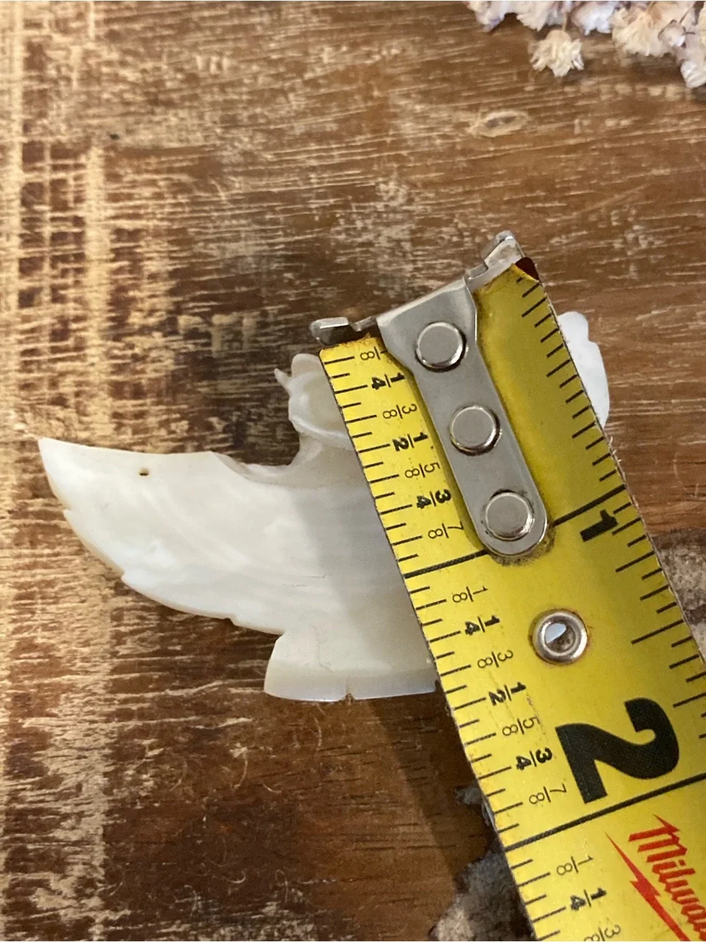 Bird Shaped Carved Shell Bead / Pendant 2 1/4” Long for Crafts or Jewelry Making